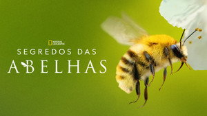 A méhek titkai kép