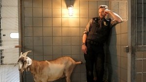 Animal Control 3. évad Ep.3 3. epizód