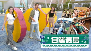 自駕德島 kép