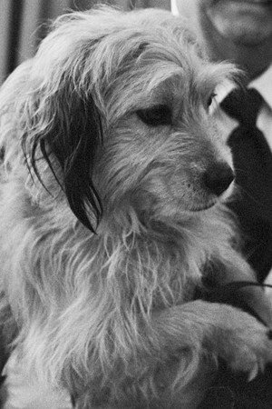 Benjean profil kép