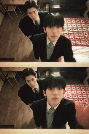 검사실의 제안 poszter