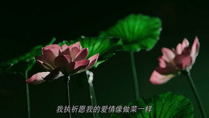 花间提壶方大厨 2. évad Ep.13 13. epizód