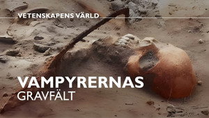 Vetenskapens värld 50. évad Ep.30 30. epizód