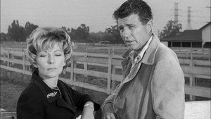 Perry Mason 6. évad Ep.11 11. epizód