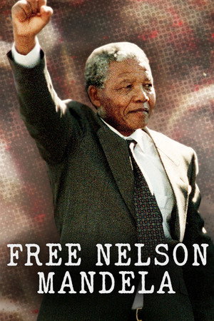 Free Nelson Mandela poszter