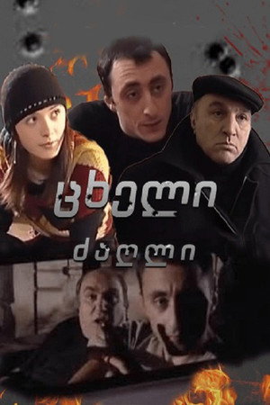 ცხელი ძაღლი poszter