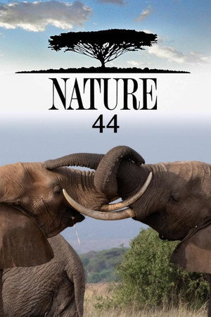 Nature 44. évad (2025-10-22) poszter