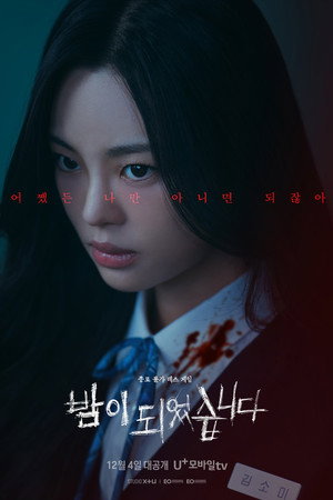 밤이 되었습니다 poszter