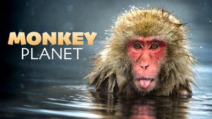 Monkey Planet kép