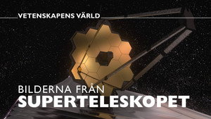 Vetenskapens värld 48. évad Ep.24 24. epizód
