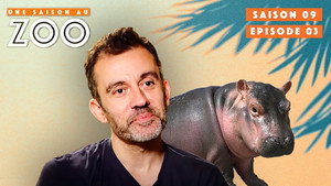 Une saison au zoo 9. évad Ep.3 3. epizód