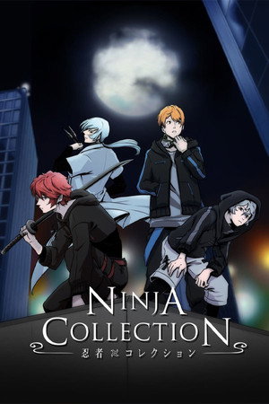 Ninja Collection poszter