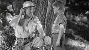 The Andy Griffith Show 3. évad Ep.1 1. epizód