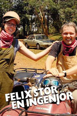 Felix stör en ingenjör poszter