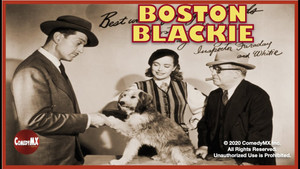 Boston Blackie kép