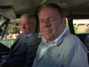 Eight Is Enough 3. évad Ep.18 18. epizód