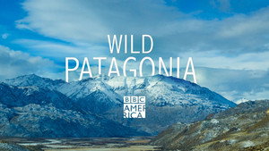Vad vidékek - Patagónia kép