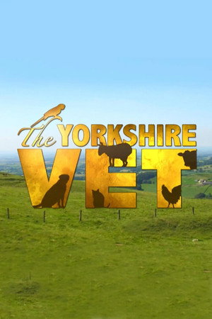 A Yorkshire-i állatorvos poszter