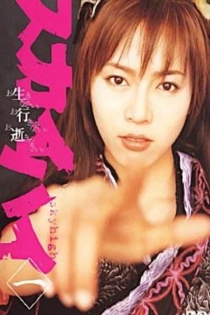 スカイハイ 1. évad (2003-01-17) poszter