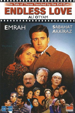 Kınalı Kar poszter