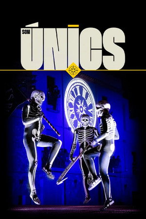 Som únics poszter