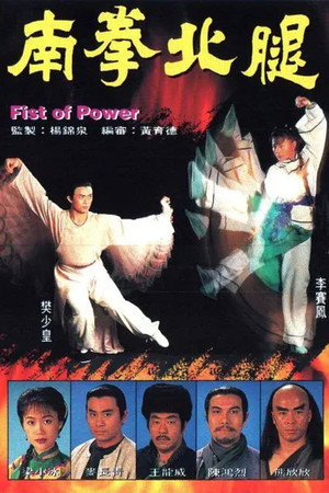 南拳北腿 1. évad (1995-05-01) poszter