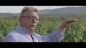 Enológica 1. évad Ep.1 1. epizód