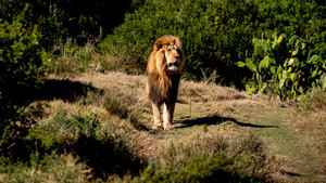 Wie is de Mol? 23. évad Ep.8 8. epizód