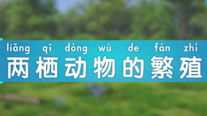 斑马百科 29. évad Ep.9 9. epizód
