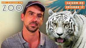 Une saison au zoo 6. évad Ep.17 17. epizód