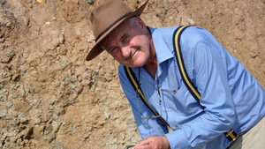Fossil Wonderlands: Nature's Hidden Treasures kép
