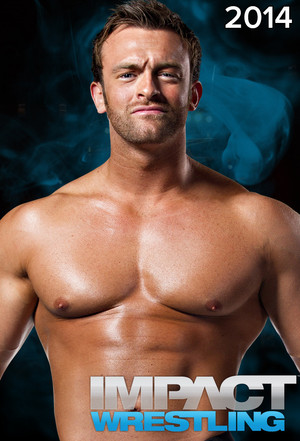 TNA iMPACT! 11. évad (2014-01-01) poszter