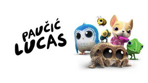 Lucas, a pók kép