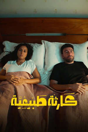 كارثة طبيعية poszter