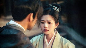 藏海传 kép