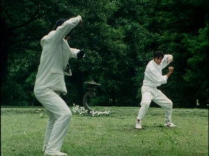 五星戦隊ダイレンジャー 1. évad Ep.26 26. epizód