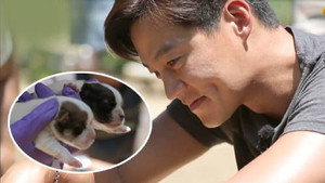 삼시세끼 정선편 2. évad Ep.10 10. epizód