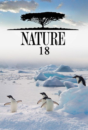 Nature 18. évad (1999-10-24) poszter