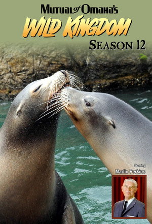 Mutual of Omaha's Wild Kingdom 12. évad (1973-09-16) poszter