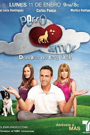Perro Amor poszter