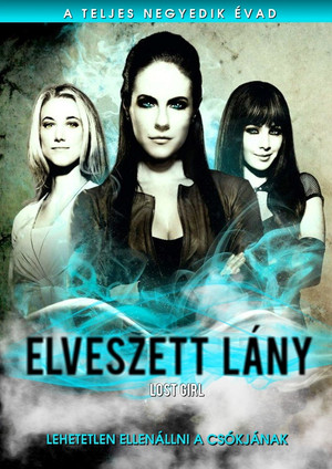 Elveszett lány 4. évad (2013-11-10) poszter