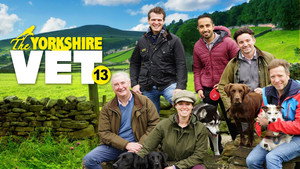 A Yorkshire-i állatorvos kép
