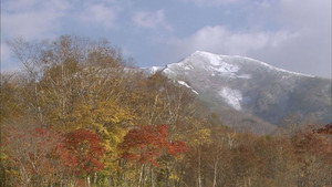 Wild Hokkaido! 1. évad Ep.19 19. epizód