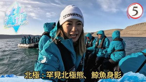 北極潮什麼 1. évad Ep.5 5. epizód