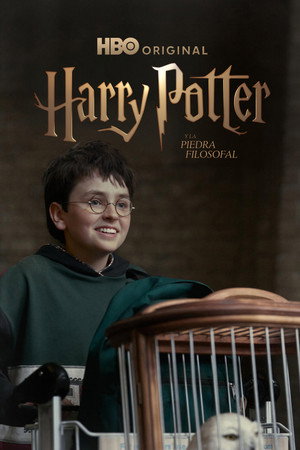 Harry Potter poszter