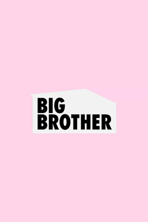 Big Brother poszter
