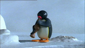 Pingu 6. évad Ep.17 A halcsalogató furulya