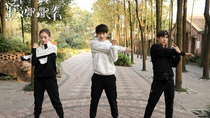 淑女飘飘拳 kép