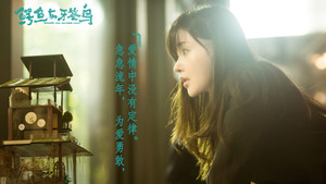 鳄鱼与牙签鸟 kép