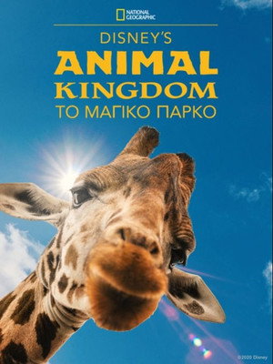 Magic of Disney's Animal Kingdom poszter